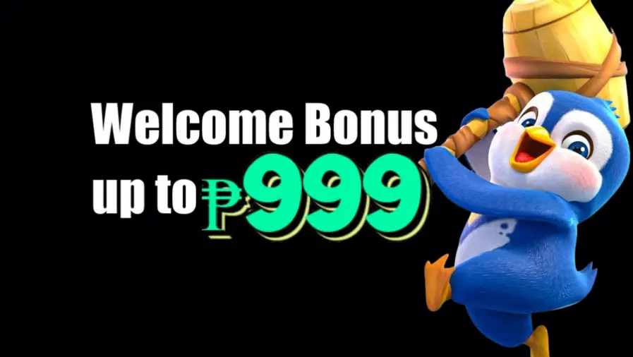 8181WIN